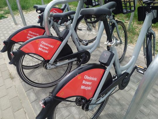 Czeski błąd w Oleśnicy? Pytania wokół miejskiego systemu rowerowego