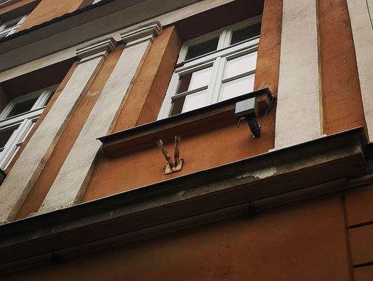 Czujniki smogu w Oleśnicy