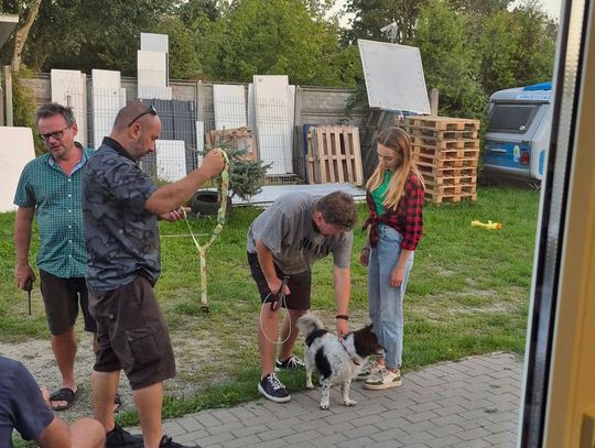 Czworonożne gwiazdy na planie serialu. Czarek i Juna z azylu Oleśnickie Bidy wystąpili w „Lombard. Życie pod zastaw”