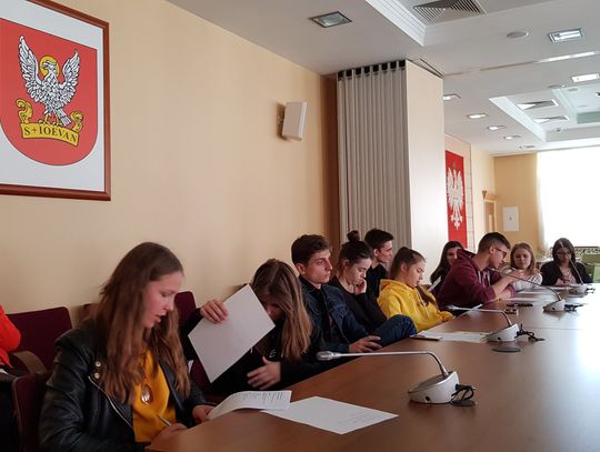Czym zajmowała się Młodzieżowa Rada Miasta Oleśnicy?