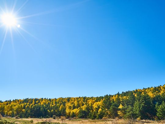 "Czyste Powietrze": Syców na czele, za nim Bierutów, potem daleko Oleśnica i inni