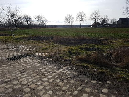 Czyżby już wiosna i zaczęło się wypalanie traw?!