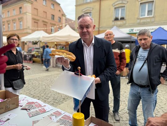 Dni Europy w Oleśnicy. Jarmark z międzynarodowym akcentem