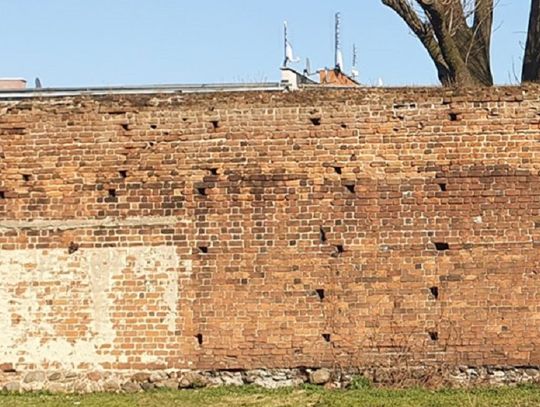 Dostaną ćwierć miliona na remont muru obronnego