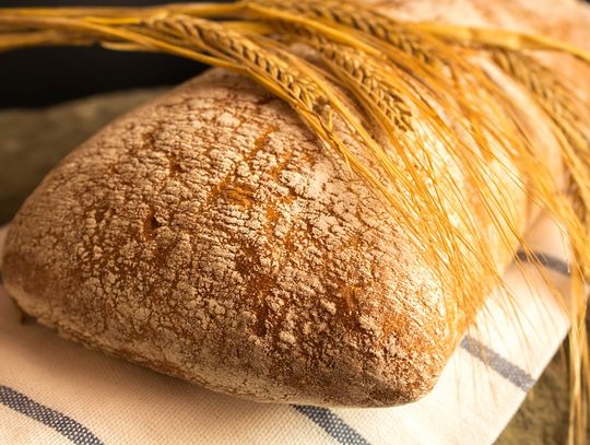 Dożynki gminy Oleśnica odbędą się w Boguszycach 