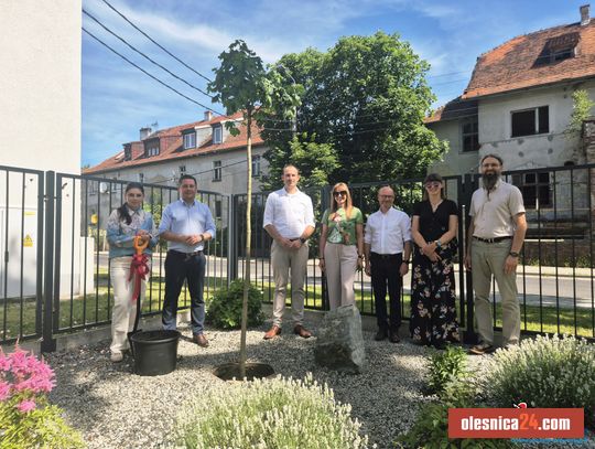 Drzewo pamięci na 760-lecie miasta. Przedszkolaki uczciły wyjątkowy jubileusz Bierutowa