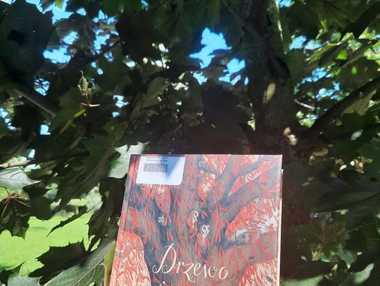 "Drzewo Życzeń" - idealna propozycja na jesienne wieczory!  