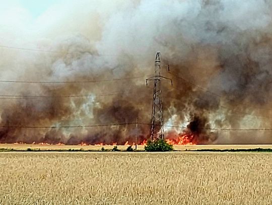 Duży pożar na polach pod Sycowem!