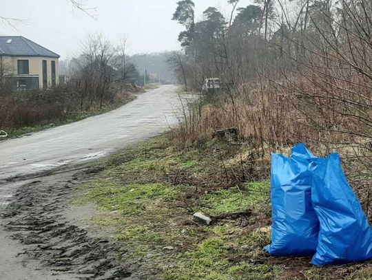 Dziś w leśnictwie Sokołowice posprzątano las