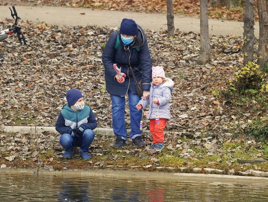 Dzisiaj 171 zakażeń w powiecie oleśnickim!