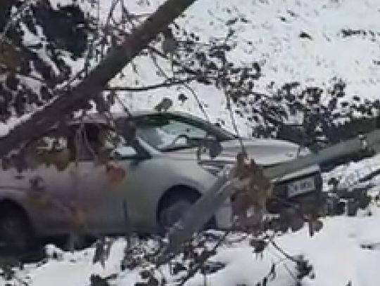 Egzamin na prawo jazdy zakończyła w Oleśniczance