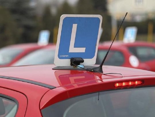 Egzaminy na prawo jazdy wstrzymane również w Oleśnicy