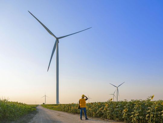 Farma wiatrowa krok po kroku: jak powstaje inwestycja i co oznacza dla mieszkańców