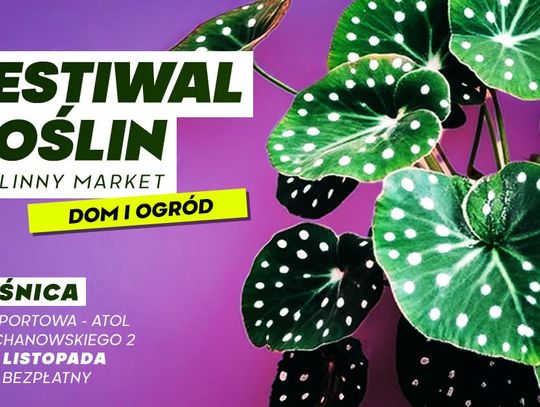 Festiwal Roślin odbędzie się w Oleśnicy