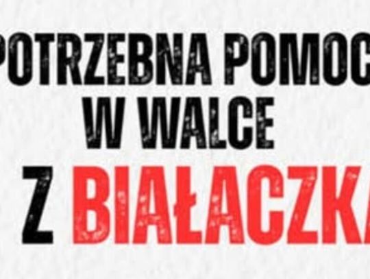 Festyn dla Bizona. Wojciech Bartnik zaprasza