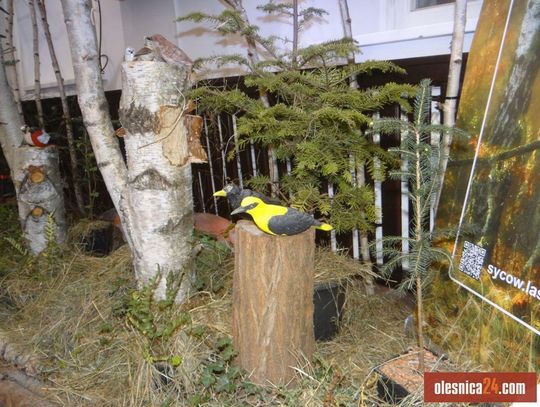 Finisaż wystawy poświęconej 30-leciu Arboretum Leśnego im. prof. Stefana Białoboka