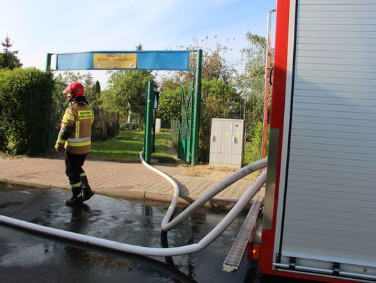 Gasili pożar na działkach w Oleśnicy - taki był finał wędzenia w altanie...