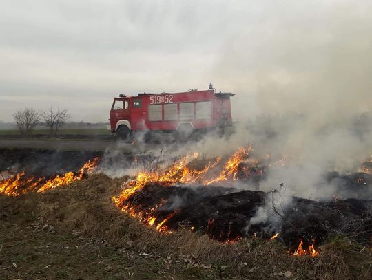 Gasili pożar traw