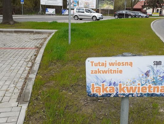 Gdzie ta łąka kwietna?! - pytają mieszkańcy Oleśnicy