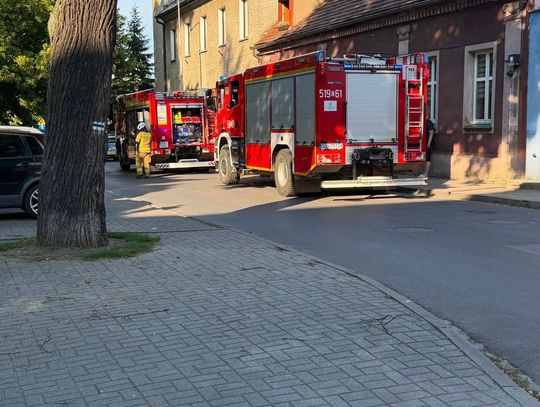 Gęste zadymienie w budynku wielorodzinnym, na miejsce ruszyło kilka zastępów straży pożarnej