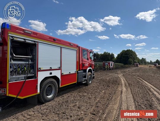 Groźny pożar pola w Dobroszycach. Do akcji ruszyło aż 10 zastępów straży pożarnej