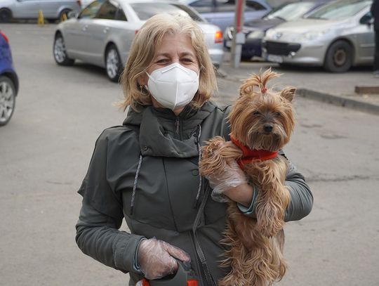 Ile zakażeń w powiecie oleśnickim - stan na 13 maja