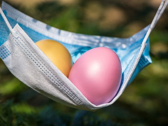 Ilu zakażonych w powiecie oleśnickim - stan na 5 kwietnia