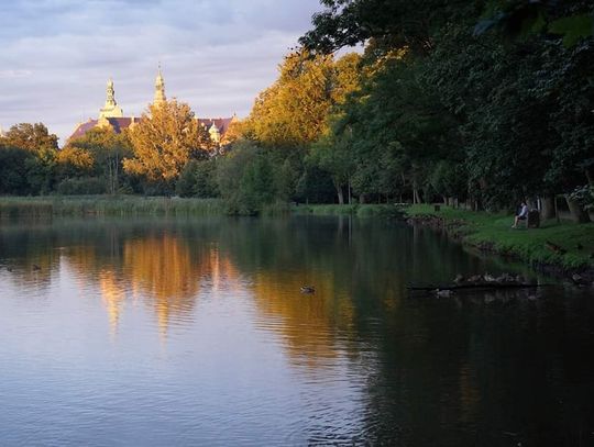 Jak będzie wyglądała rewitalizacja stawu przy Kruczej w Oleśnicy?