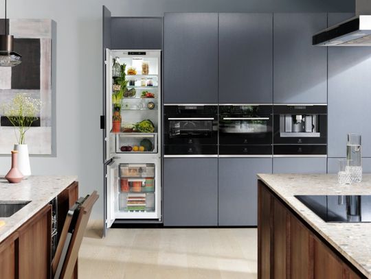 Jak wybrać lodówkę Electrolux?