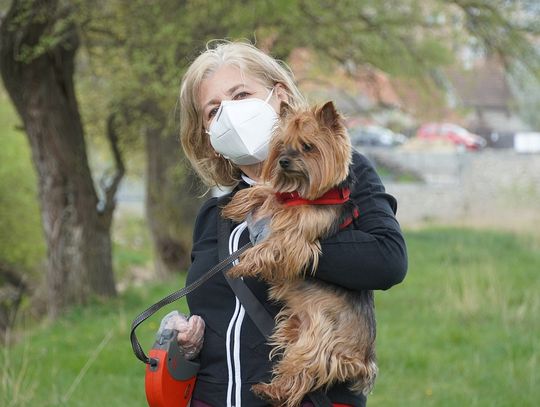 Jedno nowe zakażenie w Oleśnicy - stan na 8 września