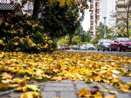 Jesień na drogach to niebezpieczna pora...