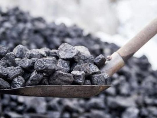 Już 700 ton węgla sprzedano mieszkańcom gminy Oleśnica