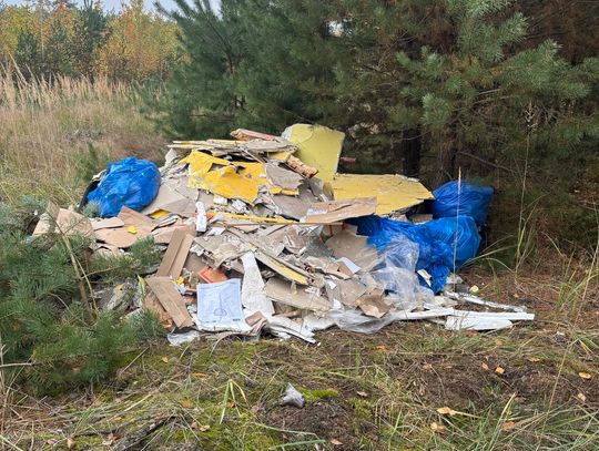 Kamera nie miała litości! Szybki finał sprawy z dzikim wysypiskiem