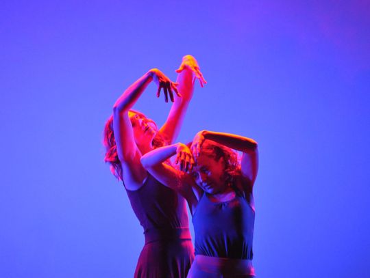 Nowa premiera Teatru Tańca Momentum /WIDEO/