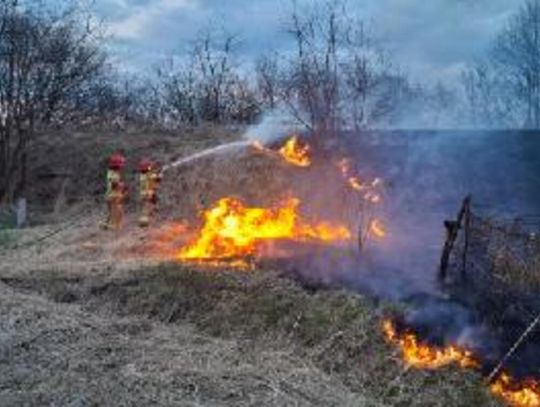 Kolejny pożar na Kwadratach w Oleśnicy