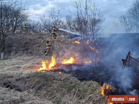 Kolejny pożar na Kwadratach w Oleśnicy