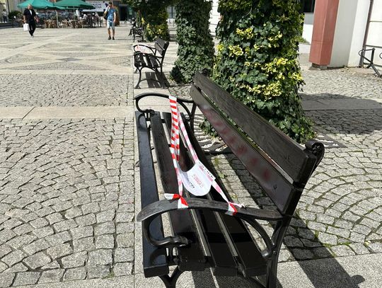 Kompleksowe odświeżenie ławek i koszy