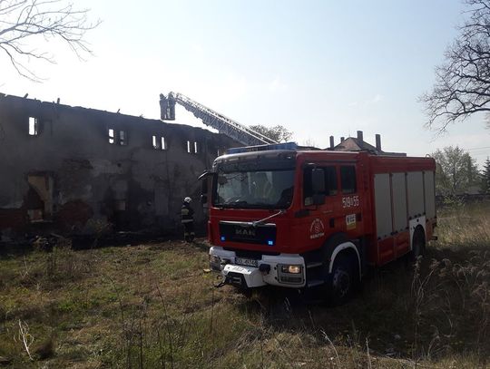 Krajobraz po pożarze