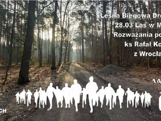 Leśna Biegowa Droga Krzyżowa w Miodarach