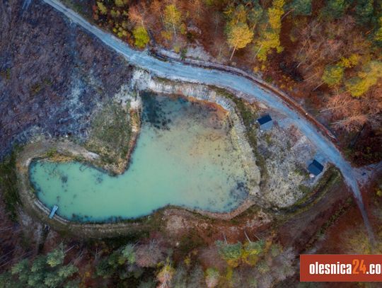 Leśnicy ogłosili konkurs z nagrodami