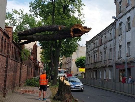Lipa wpadła do więzienia