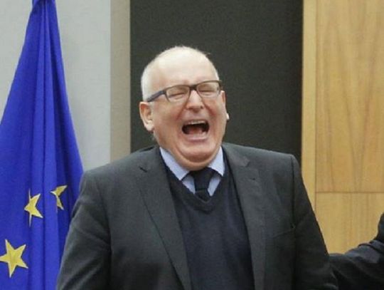 Michał Kołaciński (nie tylko) o Franku Timmermansie