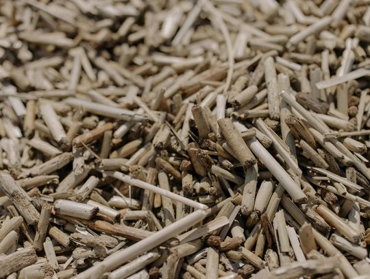 Modernizacja kotłowni – dlaczego ogrzewanie biomasą to inwestycja, która się opłaca?