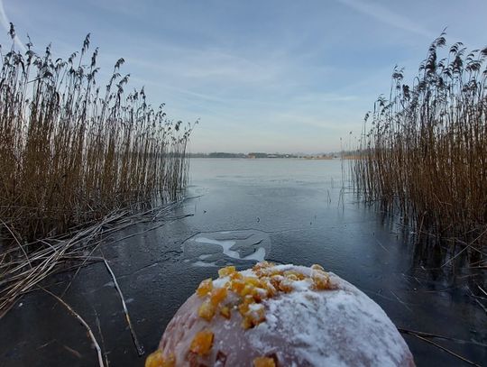 Najpierw pączek, a potem... morsowanko