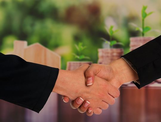 NASZ NEWS: Działka w Oleśnicy sprzedana za 1,6 miliona złotych netto!