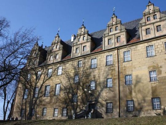 NASZ NEWS: Milioner zrobi hotel w zamku w Oleśnicy?!