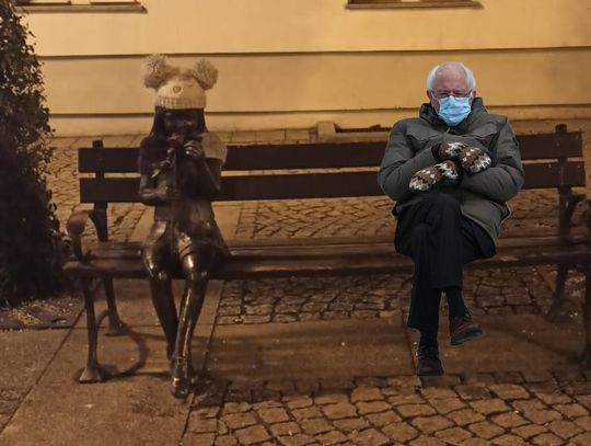 Nawet Bernie czeka już w Rynku na niedzielę z WOŚP