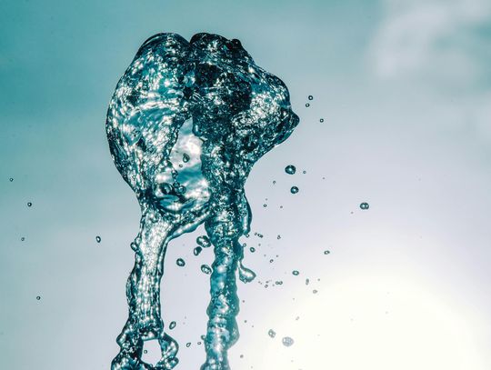 Nawodnienie na miarę XXI wieku. Jak mądrze zaplanować dostęp do wody w firmie i w domu?