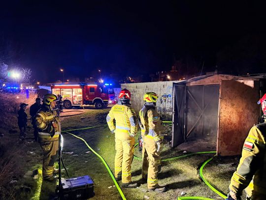 Niecodzienne wezwanie - żmije zygzakowate na posesji