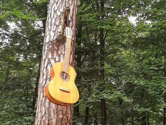 No i gra gitara... w lesie